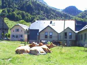 Meuh oui, c'est beau le Camparo... Ah la vache, quel cadre magnifique !