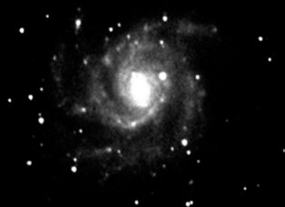 Laurent M101 Pixcell 255 T150mm.jpg (21429 octets)