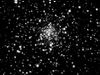 P Laurent M71 pixcell255 T150mm.JPG (3578 octets)